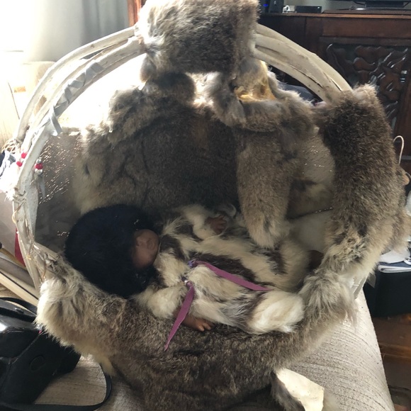 Pappose baby - Picture 1 of 3